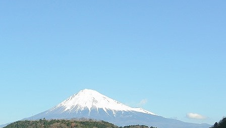 富士サファリパーク
